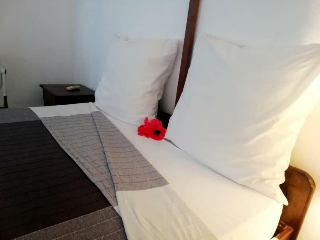 Hotel Jardin De La Paix Moroni Zewnętrze zdjęcie